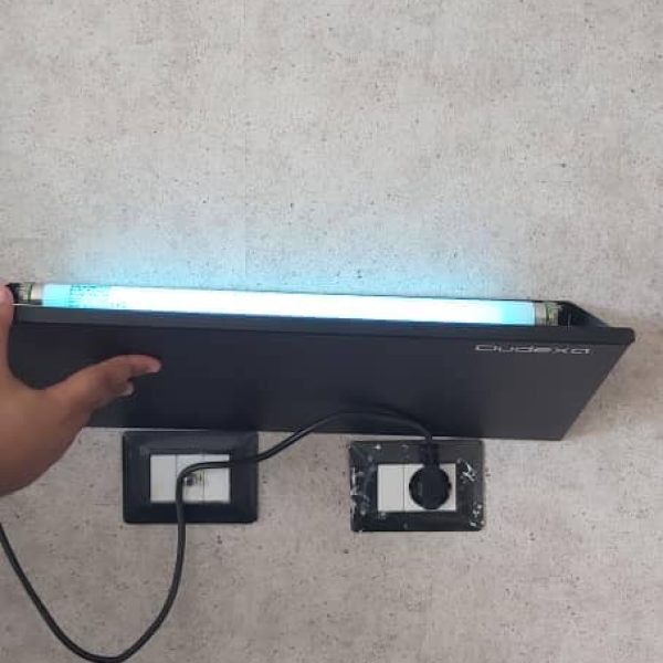 444215153_904269464835643_6049224520325836196_n